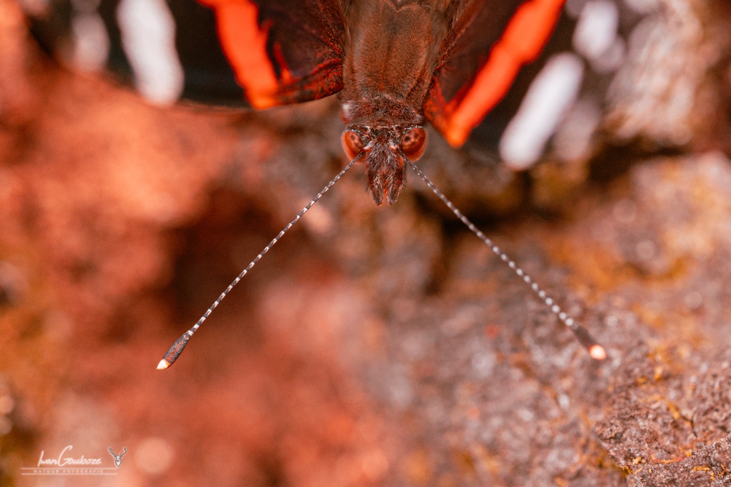 16 september 2023 122729  R2A2735